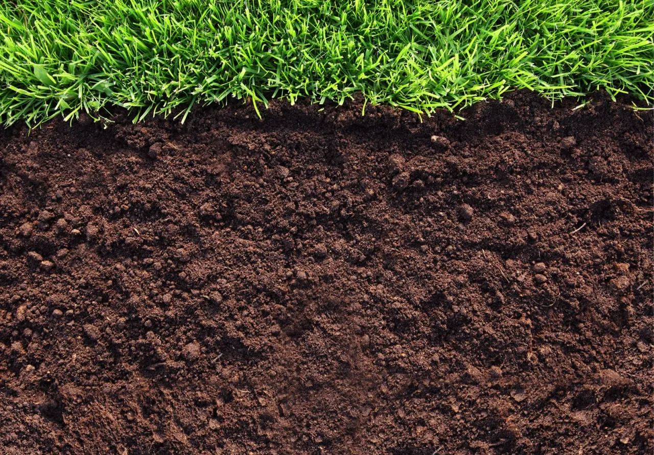 Грунт универсальный